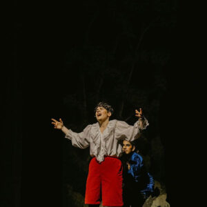 Rapunzel, The Panto